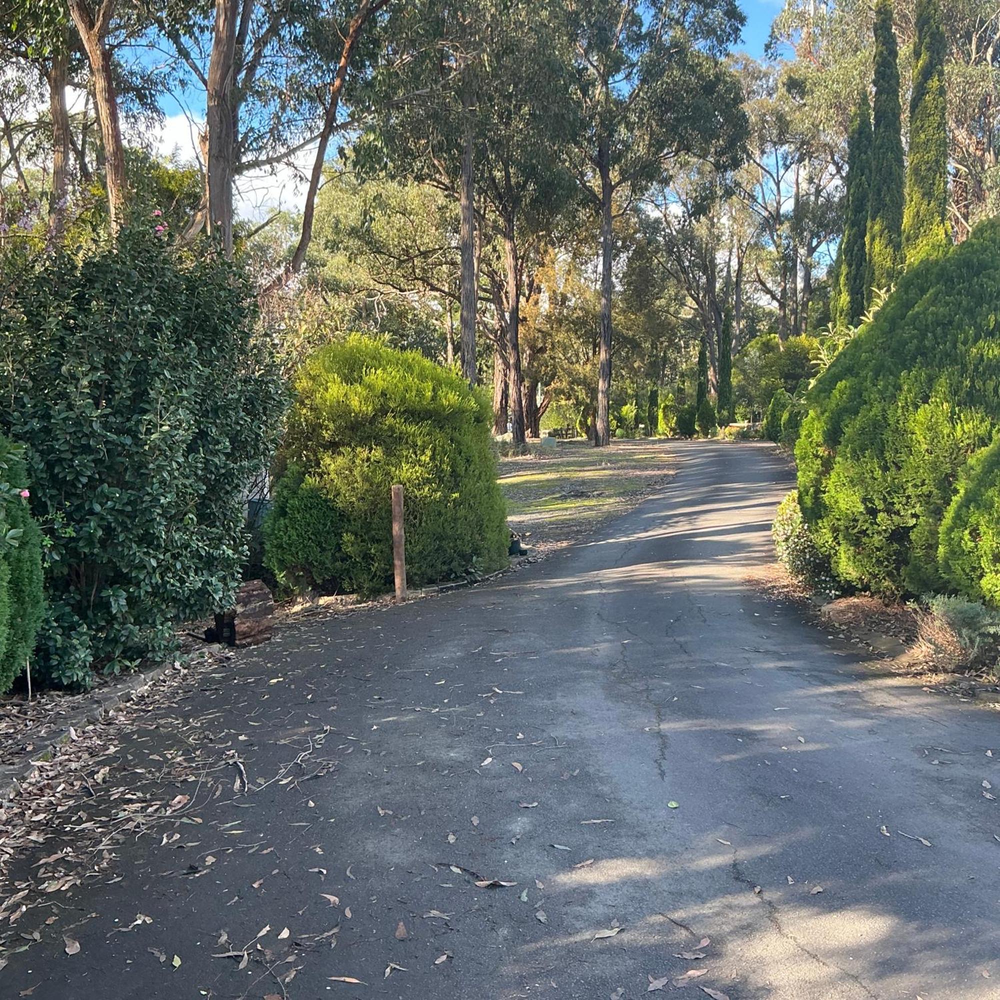Sanctuary House Resort Motel Healesville Kültér fotó