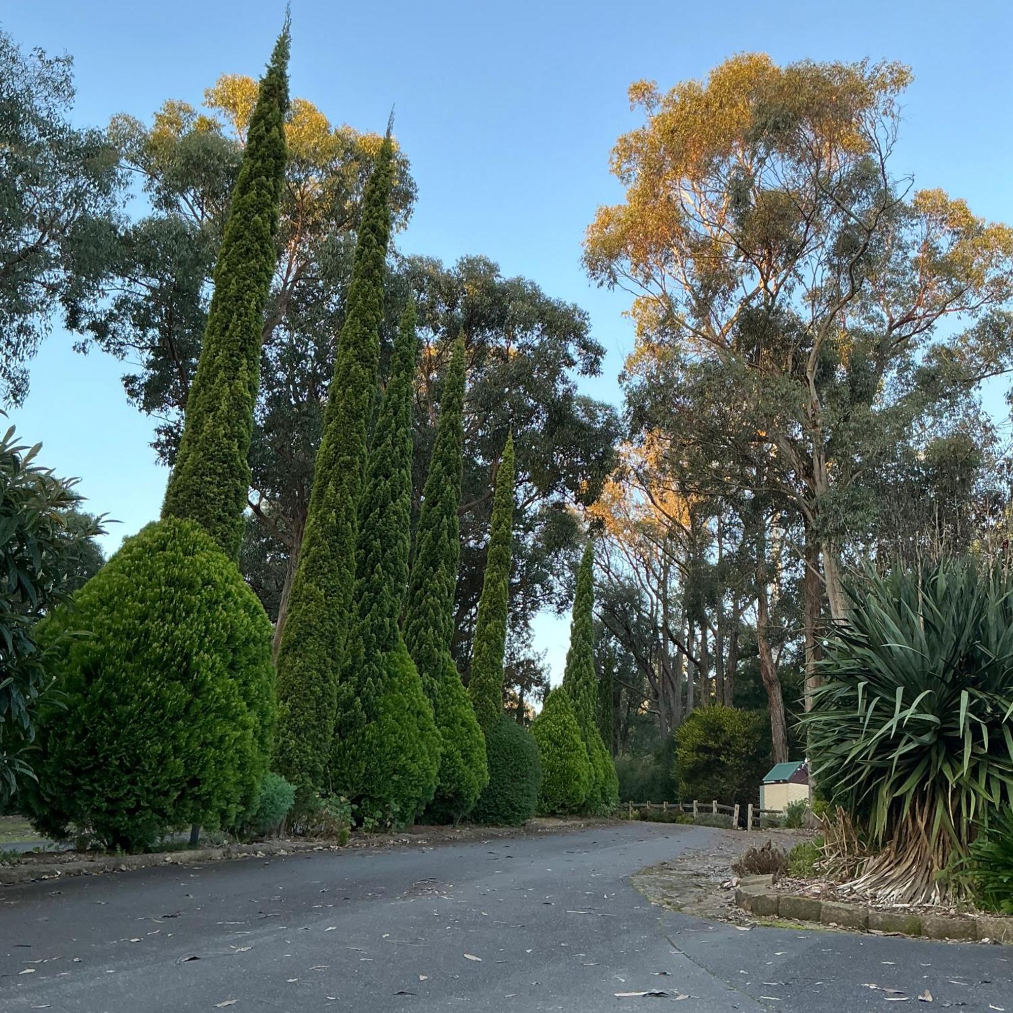 Sanctuary House Resort Motel Healesville Kültér fotó